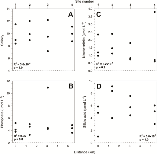 Bulk salinity and nutrient concentrations in bottommost sea ice along the horizontal transect. (A) Bulk salinity and concentrations of (B) phosphate, (C) nitrate+nitrite, and (D) silicic acid in the bottommost 0–2 cm sea-ice section from the 4 sample sites by distance along the sampling transect.