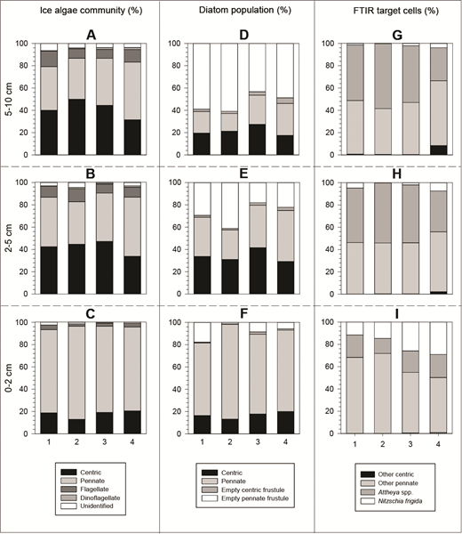 Relative taxonomic compositions of ice algae in bottom sea ice along the horizontal transect. Relative composition of: the ice algal community within ice sections (A) 5–10 cm, (B) 2–5 cm, and (C) 0–2 cm; the diatom population including intact cells and empty frustules within ice sections (D) 5–10 cm, (E) 2–5 cm, and (F) 0–2 cm; and the targeted FTIR diatom contribution to the intact-cell diatom population within ice sections (G) 5–10 cm, (H) 2–5 cm, and (I) 0–2 cm for each of the 4 sites sampled (x-axis).