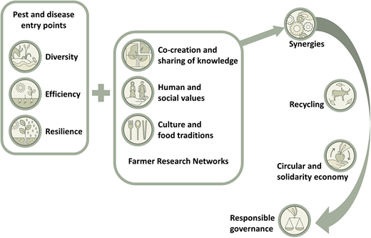 The 10 elements of agroecology described by the Food and Agriculture Organization (2018) with emphasis on how they can act as a framework facilitated by ecological pest and disease management to help realize more environmentally and socially sustainable crop protection and a transition to agroecological farming practices. DOI: https://doi.org/10.1525/elementa.2021.00099.f1