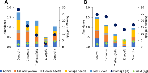 Farmer-led data collection to evaluate the impact of three commonly used pesticidal plants (Lantana camara, Tithonia diversifolia, and Tephrosia vogelii) on common bean (Phaseolus vulgaris) grown as intercrop with maize (Zea mays) by farmers in the Kilimanjaro region, Tanzania. Research was carried out by a farmer research network with 100 farmers, with (A) a commonly managed researcher-led demonstration plot at a central community location and (B) farmer-led replicated plots on their own land. Damage is scored using quartile percentages, yield is per square meter, and insect abundance is the mean weekly number per plant. The positive control involves spraying a synthetic pesticide, Karate (lambda-cyhalothrin) as recommended, negative control plots are untreated, and botanical plots sprayed with a 10% w/v water extract. All other cropping and management practices were standardized. DOI: https://doi.org/10.1525/elementa.2021.00099.f2