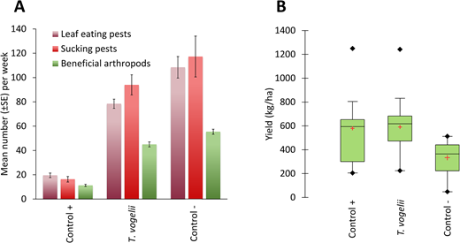 Farmer-led data collection to evaluate the impact of a commonly used pesticidal plant, Tephrosia vogelii, on common bean (Phaseolus vulgaris) grown as a monocrop. Research was carried out by a farmer research network in Malawi with 200 farmers, who (A) measured the abundance of key arthropod groups per field plot per week and (B) measured the bean yield at harvest. The positive control involves spraying a synthetic pesticide, Karate (lambda-cyhalothrin) as recommended, negative control plots are untreated, and botanical plots spray a 10% w/v water extract of T. vogelii. All other cropping and management practices were standardized. DOI: https://doi.org/10.1525/elementa.2021.00099.f3