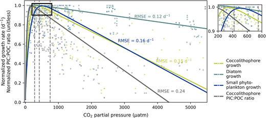 Reaction norms of phytoplankton growth rates and (PIC:POC)cocco ratios. Point markers indicate normalized phytoplankton growth rates and (PIC:POC)cocco ratios from laboratory experiments (see references in Tables 2 and S1–S4), and lines indicate fitted functions for growth rates of coccolithophores, diatoms, and small phytoplankton, as well as (PIC:POC)cocco ratios. They are exemplarily displayed for a carbonate system ranging from 3 to 5500 μatm pCO2 and a constant alkalinity of 2300 μmol kg−1 (computed with ScarFace web version 1.3.0, https://raitzsch.shinyapps.io/scarface_web/ as in Gattuso et al. [2019], and Raitzsch and Gattuso [2020], assuming surface pressure, salinity of 35, temperature of 20°C, and zero silicate and phosphate concentrations). Root mean square errors reveal the reproducibility of the data by the fitted functions. Vertical lines denote pCO2 levels of the simulations (280, 420, and 750 μatm). The black inset in the main plot indicates the area enlarged on the right side. PIC = particulate inorganic carbon; POC = particulate organic carbon.