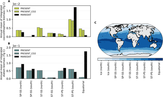 Representation of model-simulated coccolithophores and diatoms compared to the MAREDAT dataset. (A) Comparison of coccolithophore biomass from the PRESENT and PRESENT_CO2 simulations and the MAREDAT dataset (O’Brien et al., 2013), and (B) comparison of diatom biomass from the PRESENT and PRESENT_CO2 simulations and the MAREDAT data set (Leblanc et al., 2012) in (C) different oceanic biomes (after Fay and McKinley, 2014). Model data points were selected for available MAREDAT data points, and biomass values were integrated over the entire water column. Ice biomes (north and south) were omitted in (A) and (B) due to the negligible amount of coccolithophore biomass and low amounts of diatom biomass in both model and MAREDAT data. Model data were subsampled for locations where MAREDAT data are available and, thus, do not represent the total coccolithophore and diatom biomass in the model. SP = subpolar; ST = subtropic; SS = seasonal stratified; PS = permanently stratified.