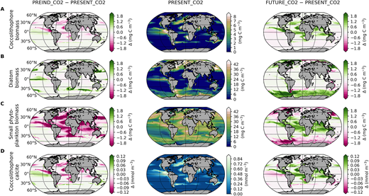 Surface phytoplankton biomass and coccolithophore calcite in model simulations. Maps display (A–C) surface phytoplankton biomass and (D) coccolithophore calcite concentration in the PRESENT_CO2 simulation (middle column), and as total difference between the PRESENT_CO2 simulation and the PREIND_CO2 (left) and FUTURE_CO2 (right) simulations, respectively (PREIND_CO2 – PRESENT_CO2 and FUTURE_CO2 – PRESENT_CO2).