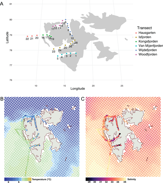 Sampling stations and hydrographic conditions at the time of sampling. (A) Sampling stations and transects along the five Svalbard fjords and at Hausgarten area; (B) sea surface temperature and (C) salinity based on ferrybox and CTD data along with the satellite data derived from Copernicus ARCTIC_MULTIYEAR_PHY_002_003 (last access: 2022-06-17), averaged over 20170803-20170816 with the Europe coastline derived from the European Environment Agency (https://www.eea.europa.eu/ds_resolveuid/06227e40310045408ac8be0d469e1189) and the map shown in the NSIDC Sea Ice Polar Stereographic North projection using qGIS v3.24.2.