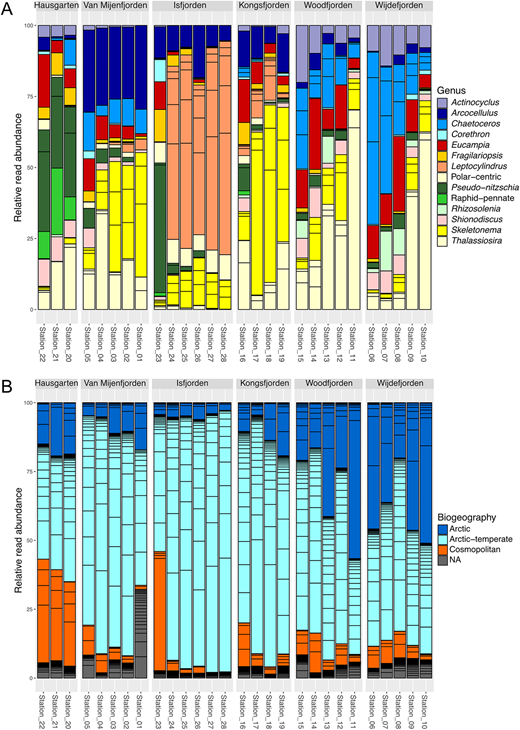 Diversity and biogeography of diatoms in the Svalbard fjords. (A) Diatom diversity in the studied area shown at the genus level. Only ASVs that constituted more than 10% of total diatom ASVs at each station are included in the plot; (B) Distribution of diatom genotypes in the Svalbard fjords based on their biogeographic type. Each bar segment represents relative abundance of an individual ASV. The ASVs labeled as NA have not been included in the biogeographic analysis.