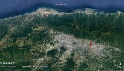 Map of the Capital District of Venezuela in the North of South America. Position of the urban site (Caracas) and the forest site (Altos de Pipe). The urban site is displayed as a red balloon, while the forest site as a blue balloon (Image © 2021 Maxar Technologies, Image Landsat/Copernicus).