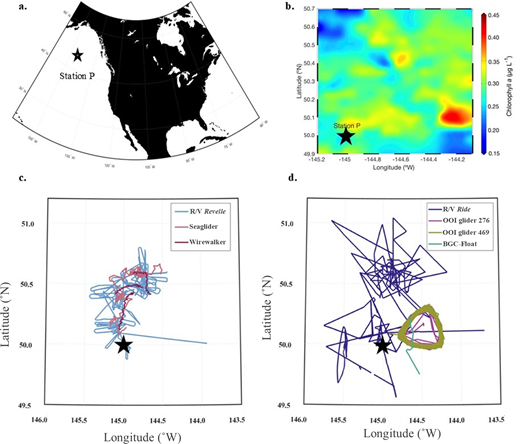 Platform trajectories in the study area from August 14 to September 7, 2018. (a) Station P in relation to North America, (b) average surface chlorophyll a measurements derived from Level 3 MODIS satellite data collected between August 14 and September 7, 2018 (downloaded from: https://oceancolor.gsfc.nasa.gov/l3/), (c) the path of each Lagrangian platform, and (d) the path of each non-Lagrangian platform between August 14 and September 7, 2018. Station P is denoted in all panels with a black star. More figures showing sea surface properties can be found in Siegel et al. (2021) and Meyer et al. (2022).