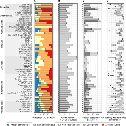 Biogeographic and diversity patterns across deep-branching lineages of Arctic unicellular eukaryotic plankton. For each lineage we determined: (A) proportions of OTUs associated with each of the 5 biogeographic categories; (B) total number of OTUs in the global Tara Oceans data base, which we refer to as the global pool (PG); and (C) the fraction (%) of the global pool detected in the Arctic Ocean (PAO). The dark gray color indicates the contribution of Arctic/Polar indicators and Arctic-exclusive OTUs to this fraction. (D) Box plots for percentage identity of OTUs with matching sequence from the reference database (see Methods). Data correspond to the V9 region of the 18S rRNA gene. Taxonomic groups are sorted by phylogeny (de Vargas et al., 2015), with lineages clustered in supergroups for visual purposes and with the caveat that classification of unicellular eukaryotes is under constant revision. Lineages with <10 OTUs were not included in the figure.