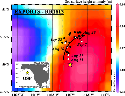 Sampling locations during EXPORTS cruise RR1813 in 2018. All locations are shown as dots; the subset highlighted as white indicates where samples were collected for 16S rRNA gene amplicon data. The sea surface height anomalies (meters) are represented by both color and contour lines, identifying the general flow (black arrow) of the surface water mass around a large anticyclonic mesoscale eddy feature. Satellite altimetry-based data for sea surface height were averaged over 5 d surrounding August 22, 2018, downloaded from the Archiving, Validation and Interpretation of Satellite Oceanographic data (AVISO) website (https://www.aviso.altimetry.fr). For reference, the long-term monitoring site Ocean Station Papa (OSP) located at 50°N and 145°W is marked with a yellow star.
