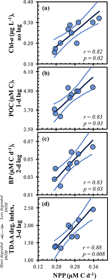 Linear correlations of variables with net primary production within the surface mixed layer. Correlations of (a) chlorophyll-a (Chl-a), (b) particulate organic carbon (POC), (c) bacterioplankton production (BP) and (d) the total dissolved amino acid degradation (TDAA deg.) index with net primary production (NPP). Bold lines represent the model II linear fit line; thinner dotted lines represent the ±95% confidence intervals. The correlation coefficients are based on Pearson correlations, and the p-values have been corrected using the Holm-Bonferroni correction (Holm, 1979). Y-axis labels include whether the variable was lagged relative to NPP.