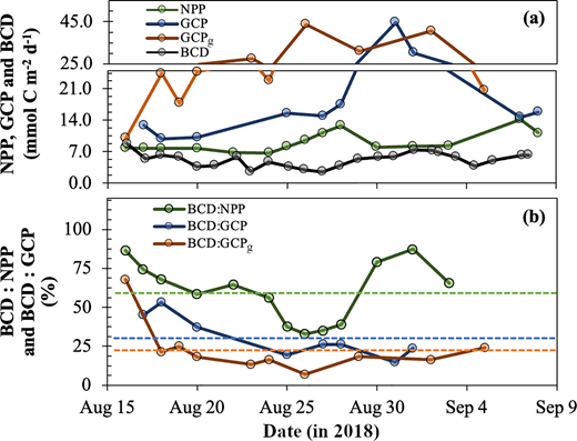 Temporal trends for NPP, GCP, GCPg and BCD integrated over the surface mixed layer. (a) Mixed layer integrated rates (volumetric rates multiplied by mixed layer depth) of net primary production (NPP), gross carbon production determined from 2-h 14CO2 uptake incubations (GCP), gross carbon production determined from daily changes in glider values of O2 (GCPg) and bacterioplankton carbon demand (BCD) versus time, and (b) ratios of BCD to NPP, BCD to GCP and BCD to GCPg. BCD was adjusted by 2 d as determined in the lagged correlation analysis. Note the break in the y-axis in (a) changes from a minor tick value spacing of 1.75 to 5 mmol C m−2 d−1.