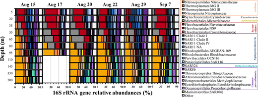 Relative abundances of 16S rRNA gene amplicon sequence variant data over depth and time. Relative abundances for amplicon sequence variants were aggregated at the family level where available. Dates are month/day in 2018. Samples collected on August 17 from depths of 110 to 500 m were lost (white area).