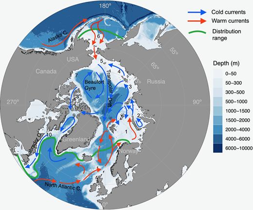 Southern distribution of Arctic cod (after Mecklenburg et al., 2018). The limits of Arctic cod distribution (green line), with cold Arctic currents (blue arrows) and warmer Atlantic and Pacific currents (red arrows), reproduced from Arctic Monitoring and Assessment Programme (AMAP, 2018), and marine areas indicated by number: Barents Sea (1); Kara Sea (2); Laptev Sea (3); East Siberian Sea (4); Chukchi Sea (5); Bering Sea (6); Beaufort Sea (7); Canadian Archipelago (8); Baffin Bay (9); and Labrador Sea (10).