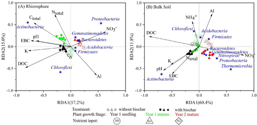 Redundancy analysis (RDA) of environmental factors and dominant phyla represented by blue stars in the rhizosphere (A) and bulk soils (B). The hollow circles/diamonds/triangles represent treatments without biochar: N0 = control, N1 = 0.23-g kg−1 urea, and N2 = 0.46-g kg−1 urea; the solid circles/diamonds/triangles represent treatments with 3% biochar: N0C2 = 30-g kg−1 biochar, N1C2 = 0.23-g kg−1 urea + 30-g kg−1 biochar, and N2C2 = 0.46-g kg−1 urea + 30-g kg−1 biochar. Colors represent plant growth stage. Environmental factors listed above were correlated with species at a significance level of P < 0.01. Al = exchangeable Al; EBC = exchangeable base cations; K = exchangeable K; Ctotal = total C; Ntotal = total N; NH4+ = ammonium ion; NO3− = nitrate ion; DOC = dissolved organic C.