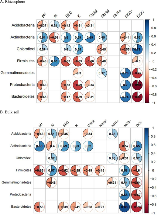 Pearson correlation analysis of environmental factors and sensitive communities at the phylum level in the rhizosphere (A) and bulk soils (B) during the 2-year pot experiment (n = 54). The significance level was P < 0.05. Data in the blue pie charts indicate positive correlation coefficients, whereas those in the red pie charts indicate negative correlation coefficients (P < 0.05). Boxes were left empty if correlations were not significant (P ≥ 0.05). Al = exchangeable Al; EBC = exchangeable base cations; K = exchangeable K; Ctotal = total C; Ntotal = total N; NH4+ = ammonium ion; NO3− = nitrate ion; DOC = dissolved organic C.