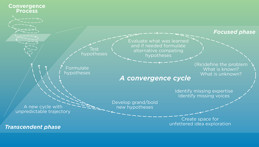 A slice of one cycle of a convergence process, as participants move through a focused phase (light green upper half of diagram) that begins with formulating hypotheses, and then down into a transcendent phase (blue bottom half of diagram). Where the convergence process goes next is context dependent, therefore uncertain. Participants could choose to stay in the transcendent phase or move into one or more parallel focused phases.