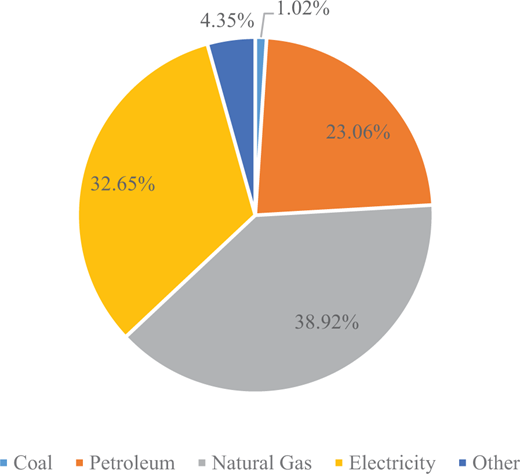 Composition of Beijing’s 2022 energy consumption. Graphed according to the data published by the Beijing Bureau of Statistics (http://www.bjstats.gov.cn/), accessed March 31, 2024.