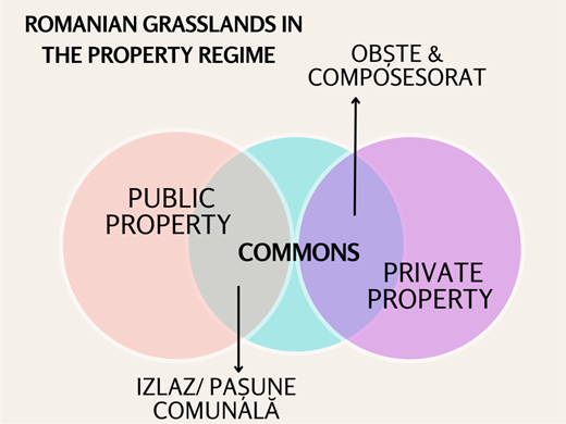 Positioning Romanian grasslands in the legal property regime based on Law 1/1991. Authors’ elaboration.