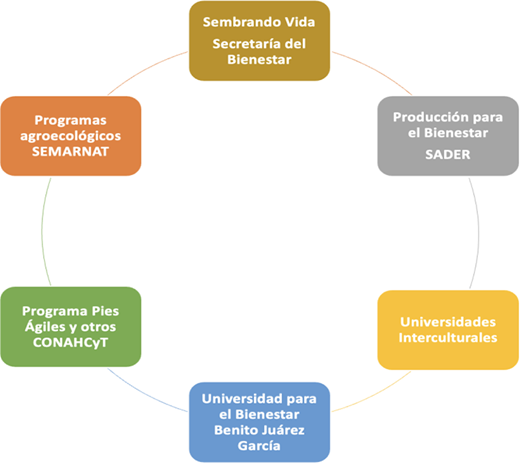 The 6 areas of the federal government in which the scaling-up of agroecology is conducted in Mexico. Graph based on Toledo (2023).