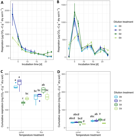 Microbial respiration rates and cumulative respiration during community establishment. Soil respiration of microcosms incubated at constant temperature (23°C) (A), or fluctuating temperatures (13°C, 23°C, 33°C) (B). For A and B error bars denote standard deviations of biological replicates (n = 4). Cumulative respiration for the overall incubation period (C) and cumulative respiration for the time-points chosen when the fluctuating temperature treatment was incubated at 23°C in both temperature regimes (D). For boxplots, the box denotes interquartile range, whiskers denote the 1.5× interquartile range. The horizontal line denotes the median. Points represent outliers outside of the 1.5× interquartile range. Letters indicate significant differences between diversity levels tested with the Tukey-HSD test.