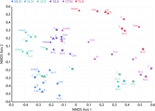 Microbial community structure and response to experimental enrichment and eutrophication. Colors denote different lakes, and labels and symbols denote different treatments: initial communities and controls are shown as circles, nitrogen (N) additions as triangles, carbon (C) additions as squares, and combined N+C additions as diamonds. Incubations in dark bottles are outlined in black. Lakes are Mekeald (MLN), Ngeruktabel (NLN), Uet era Ngchas (ULN), Ngermeuangel (NLK), Ongeim’l Tketau (OTM), and T Lake (TLN). Ordination plot of non-metric multidimensional scaling (NMDS) performed on θ values in four dimensions, with the first two axes shown; stress = 0.12 and r2 = 0.82.