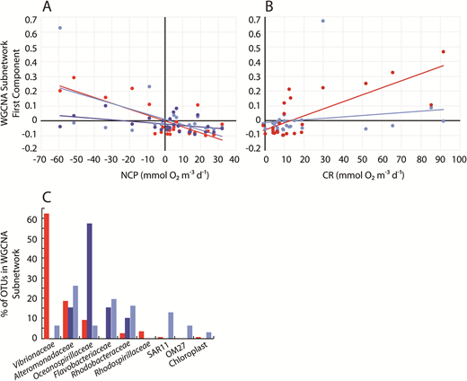 Microbial subnetwork correlations with biogeochemical rates and the composition of microbial subnetworks. Correlations between rates of (A) net community production (NCP) and (B) community respiration (CR) and the first principal component (i.e., eigengene) of weighted gene correlation network analysis (WGCNA) subnetworks, and (C) the composition of operational taxonomic units (OTUs) forming WGCNA subnetworks. Colors denote three subnetworks that correlated inversely with NCP and two that correlated positively with CR: subnetworks 11 (red), 13 (light blue), and 15 (dark blue). Note that negative NCP rates indicate net oxygen consumption; that is, net heterotrophic activity.