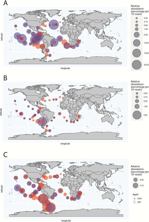 Relative abundances of taxonomic homologs in the TARA Oceans Database. Homologs (expressed as percentage per million reads in sequenced metagenomes) of (A) Alteromonas macleodii homolog OM-RGC.v1.001583373, (B) Vibrio campbellii homolog OM-RGC.v1.001516210, and (C) Marinomonas sp. MWYL1 homolog OM-RGC.v1.001593297 in the TARA Oceans Database. Red circles represent surface (SRF) samples while blue circles represent samples from the chlorophyll maximum (DCM). All samples are for the 0.22–3 µm size fraction. Data were downloaded from the Tara Oceans database (http://tara-oceans.mio.osupytheas.fr/ocean-gene-atlas/).