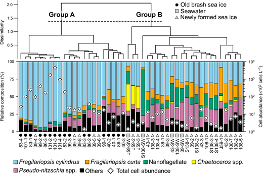 Cluster dendrogram, algal composition, and total cell abundance for sea-ice and seawater samples. The dendrogram above is plotted using dissimilarities in species composition among each sample. The species composition (color-coded), total cell abundance (open diamonds), and sample names are shown below the dendrogram, along with sample types: FYI/OI brash sea ice (black circles), seawater (gray squares), and newly formed sea ice (open triangles).
