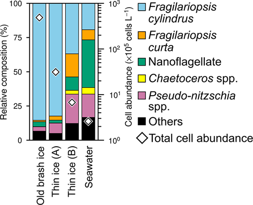 The averaged total cell abundance and species composition of sea ice and seawater. Thin ice (A) and (B) indicate the averaged cell abundance and composition of the samples belonging to Group A (thin ice likely influenced by older ice; Figure 6) and Group B (thin ice formed via freezing of seawater not influenced by older ice).