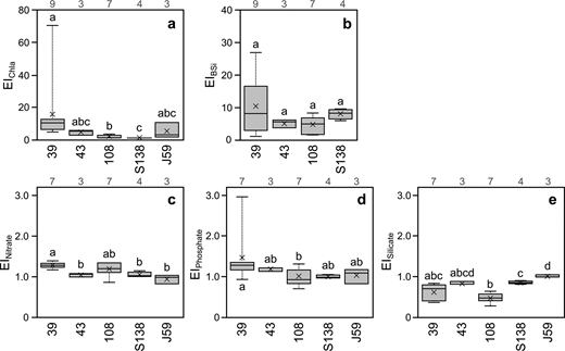 Box and whisker plots of enrichment indices for chlorophyll a, biogenic silica, and macronutrients. Each plot presents the median (horizontal line), mean (cross mark), 25% and 75% quartiles, and range for enrichment indices (EIs) for (a) chlorophyll a (Chl a), (b) biogenic silica (BSi), (c) NO3−, (d) PO43−, and (e) Si(OH)4 at each sampling site (Stations 39, 43, 108, S138, and J59; Figure 1). Values above the panels are sample numbers (n) for each plot. Different letters above each plot indicate significant difference at p < 0.05 level (Steel-Dwass test).