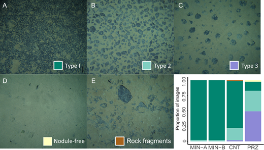 Seabed and nodule-habitat types found in the NORI-D area. Photos of the habitat types found in the NORI-D area: (A) Type 1 nodule, (B) Type 2 nodule, (C) Type 3 nodule, (D) nodule-free and (E) habitats with rock fragments. The inset barplot shows the proportion of images of each colour-coded habitat type in each study area.