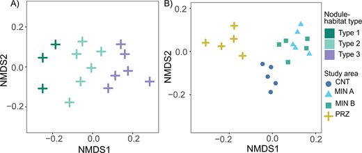 Ordination of megafaunal community structure living in different nodule-habitat types and study areas. NMDS plots show colour-coded differences between (A) types of nodule habitats within the PRZ (stress = 0.18) and (B) study areas (stress = 0.15). The analysis was performed on a Bray-Curtis dissimilarity matrix calculated using square-root-transformed abundance data.