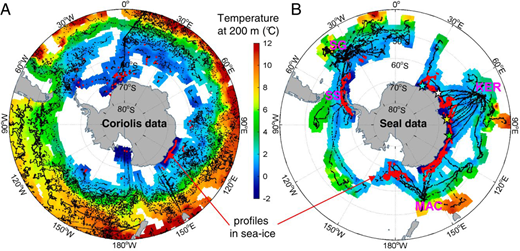 Circumpolar distribution of oceanographic profiles and 200-m temperature from Coriolis data and southern elephant seals. All data were collected in the Southern Ocean during 2004–2005. (A) Data from the Coriolis database were obtained by Argo floats, XBTs, and research vessels. (B) Seal data were collected by southern elephant seals equipped with CTD-SRDLs at South Georgia (SG) and South Shetland (SS) islands, Iles Kerguelen (KER), and Macquarie Island (MAC). Red points indicate locations where profiles were collected in sea-ice areas. Coloured stars indicate positions of time series collected in sea ice by four different seals (Charrassin et al., 2008).