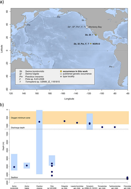 Location and depth of pelagic annelid occurrences at NORI-D and other known localities. (a) Map of NORI-D in relation to previously confirmed occurrences of species in this study. The bounding box for NORI-D reflects the perimeter coordinates (Nauru Ocean Resources Inc., 2011). (b) Depth of occurrence of each species at NORI-D (points) and at any other known localities (vertical bars). The oxygen minimum zone (generalized as 100–900 m, shaded region), expected depth of the discharge outlet at NORI-D (1,200 m, dashed line), and seafloor (approximately 4,270 m, solid line) are shown for reference.