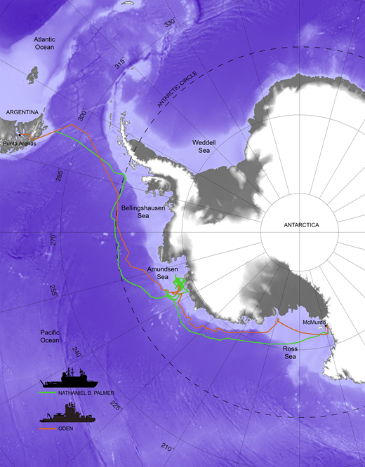 Figure 1. Map of Antarctica and Southern Ocean showing the two-ship operation for the ASPIRE project. / During December 2010 and January 2011, two research icebreakers, the US RVIB Nathaniel B. Palmer and the Swedish IB Oden traveled from Punta Arenas, Chile, to McMurdo Station, Antarctica. The Palmer focused on the open waters of the Amundsen Sea polynya, while the Oden worked in the sea-ice covered region further offshore. The base map comes from the ETOPO1 data set, available from NOAA’s National Geophysical Data Center. The map was done with Generic Mapping Tools:http://www.soest.hawaii.edu/gmt/