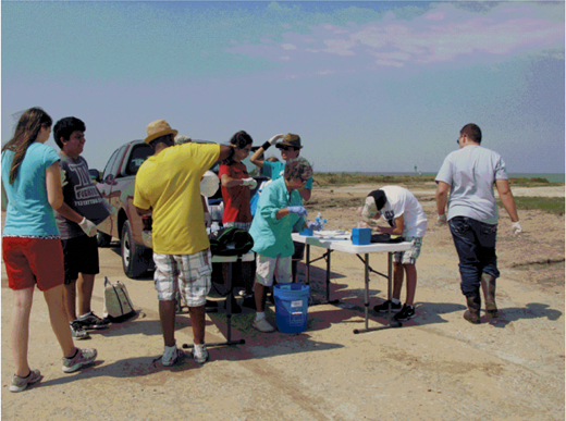 Figure 4. Involving students with fieldwork in their own backyards. / SMORE Texas students sampled nutrients at Bolivar Peninsula, Houston, Texas USA. (Photo credit: L. Garay)
