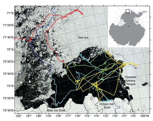 Figure 9. Shipboard wind speed. / Measurements of shipboard wind speed (m s–1) at the 25 m height of the ship’s mast are plotted against time, showing the average and ± 1 standard deviation for the sampling period (8.6 ± 3.5 m s–1; n = 6500) as three horizontal lines. Wind speeds ranged from 0.2 to 18.9 m s-1. The average dropped to 7.9 ± 3.2 m s-1 when corrected to 10 m height. Gaps indicate transits into sea ice-covered regions.