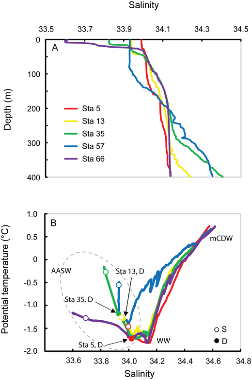 Figure 9. Bacterial productivity in incubation experiments. / Mean and standard deviation of bacterial productivity by day 4 of the incubation experiments are shown for triplicate incubations of Fe additions (dark bars) and unamended controls (white bars). Rates are shown for surface (S) and deeper subsurface (D) incubations from Stations 5, 13, and 35 (A) and for different levels of incident irradiance (1%, black; 10%, grey; 50%, light grey) for Stations 57 and 66 (B).