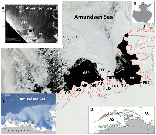 Figure 1. Amundsen Sea study region. / MODIS Terra image (at 250 m resolution) acquired on 2 January 2011 showing early-summer sea ice coverage in the Amundsen Sea region and open water extents in the two coastal polynyas. Place names are, from east to west: Pine Island Ice Shelf (PIIS), Pine Island Polynya (PIP), Thwaites (eastern) Ice Shelf (TIS), Thwaites Glacier Tongue (TGT), Thwaites Iceberg Tongue (TIBT), Thwaites Fast-ice Tongue (TFT), Crosson Ice Shelf (CIS), Bear Peninsula (BP), Dotson Ice Shelf (DIS), Amundsen Sea Polynya (ASP), Martin Peninsula (MP), and Getz Ice Shelf (GIS). The coastline (in red) is from MOA 2009 (Haran et al., 2014). (A) European Space Agency Envisat SAR image from 26 January 2009 revealing details of the TGT, TIBT and TFT. The relatively smooth surface of the fast ice appears dark relative to the rougher surface of the small icebergs within and bordering the TFT, and relative to the rougher surfaces of the TGT and TIBT. (B) Location map. (C) Bathymetry of the Amundsen Sea continental shelf region (blue-gray shading at 100-m depth intervals) (Nitsche et al., 2007). (D) The westward drift tracks of three ice buoys deployed in the Bellingshausen Sea (BS) in March 2007; drift ended in the Amundsen Sea (AS).