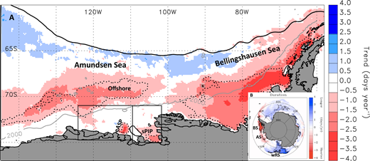 Figure 2. Trends in annual ice season duration in the Amundsen Sea. / (A) Map of annual ice season duration trend (days year−1) for the period of 1979/80 to 2013/14 in the Bellingshausen-Amundsen Sea, showing strong negative trends (shorter sea ice season) in most areas (updated from Stammerjohn et al., 2012). The upper black solid contour outlines the mean max winter sea ice extent. The black dotted contour outlines those areas where the trend is significant at the p < 0.01 level based on the assumption that the time series at each pixel is Gaussian distributed and stationary (an assumption that is violated in the two coastal areas, as further explored in Figures 8 and 11). The gray solid contour outlines the 2000-m isobath, approximating the continental shelf slope location. The boxed areas adjacent to the Amundsen coast enclose the mean maximum extents of the Pine Island and Amundsen Sea polynyas. Labeled areas include the Offshore, the southern Pine Island Polynya (sPIP) and the eastern Amundsen Sea Polynya (eASP), each delimited by the black dotted contour, and for the Offshore area, includes the dotted area between 105–125°W. (B) Map of sea ice duration trends for the entire Southern Ocean, showing the locations of the Bellingshausen Sea (BS), Amundsen Sea (AS) and the western Ross Sea (wRS).