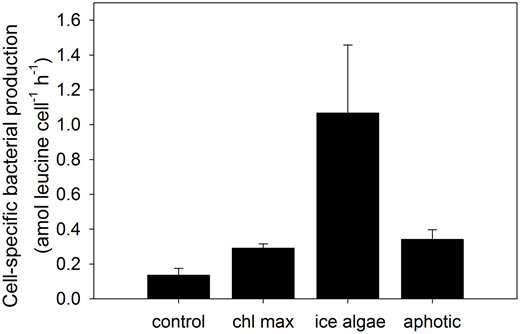 Figure 3. Comparative cell-specific rates of bacterial production at day 7. / The mean and range of duplicate values of cell-specific bacterial production rates are shown for day 7 for all treatments. Bacterial communities were incubated with water from ice melt containing ice algae (ice algae), from the chlorophyll maximum (chl max), or from aphotic zone water (aphotic) for one week. An aphotic zone bacterial control (control) containing no new DOM was also included. Bacteria for ice algae, chl max and control treatments were collected from the aphotic zone (170 m); bacteria for the aphotic treatment were collected from the chlorophyll maximum (10 m). All water was from the Amundsen Sea Polynya, Antarctica (Figure 1).