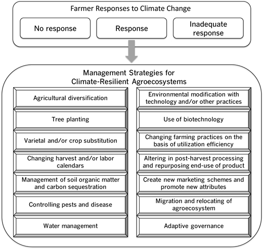 Figure 3. Farmer responses to climate change towards climate-change resilient agroecosystems. / Farmers may respond to climate change in variable ways in their agroecosystems including no response, inadequate response, or they may respond through various mitigation and adaptation strategies towards climate-change resilient agroecosystems.
