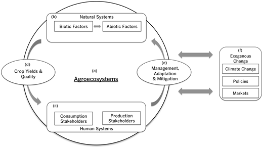 Figure 4. Socio-ecological systems framework to examine climate effects of crop quality and farmer responses. / This socio-ecological systems framework integrates two underutilized concepts on specialty crop quality and agroecological management that can be applied for future studies on climate effects on specialty crop systems. Agroecosystems (Figure 4a) are the foundation of this framework with natural (or biophysical) components (Figure 4b) that produce crops and human components that interact with these crops (Figure 4c) through dynamic feedbacks (Figure 4d and 4e). Consumers (Figure 4c) may perceive changes in crop yields and quality (Figure 4d) via market signals and sensory profiles that may be more or less desirable for consumers depending on their preferences. Farmers and other natural resource managers may alter the way they manage their agroecosystems in response to consumer decision-making and markets as well as on the basis of their own direct observations, knowledge, and social networks through a range of management, adaptation, and mitigation strategies (Figure 4e). The large arrows linking the agroecosystem (Figure 4a) to exogenous change (Figure 4f) highlights that agroecosystems are human-managed ecosystems that impact, and are impacted by, exogenous variables.