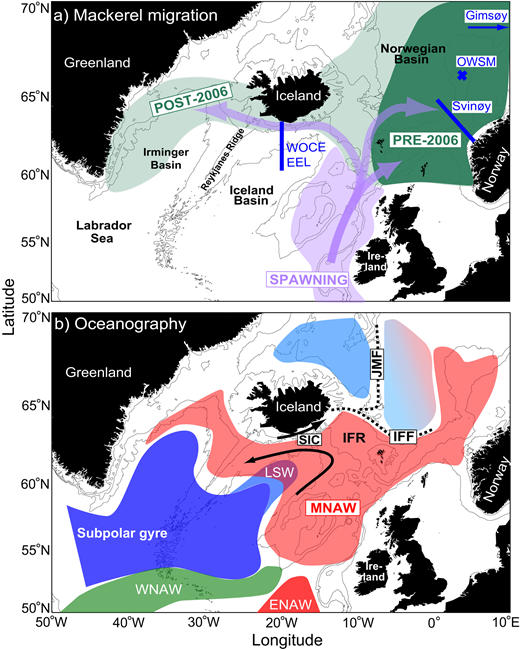 Figure 1. Geographical overview of the mackerel stock dynamics. / a) Illustrated are the mackerel spawning areas (purple shading) along the European shelf and the post-spawning and summer feeding migrations (purple arrows). The pre-2006 mackerel summer feeding areas are shown as dark green with the post-2006 expansion in light green. The standard WOCE/EEL section at 20°W (where summer silicate data were sampled; Figure 4) and the standard sampling sites: Svinøy section, Ocean Weather Station Mike (OWSM) and Gimsøy section (where the pre-bloom silicate concentrations were sampled; Figure 7) are marked in blue. b) Shown are important oceanographic features: Modified North Atlantic Water (MNAW), Eastern North Atlantic Water (ENAW), Western North Atlantic Water (WNAW), Labrador Sea Water (LSW), Jan Mayen Front (JMF), Iceland-Faroe Front (IFF), Iceland-Faroe Ridge (IFR) and South Iceland Current (SIC). Polar waters, and their admixture with the Atlantic water in the Nordic Seas, are shown in light blue colours. Emphasized currents for the present analyses are illustrated with black arrows and fronts with dashed lines.