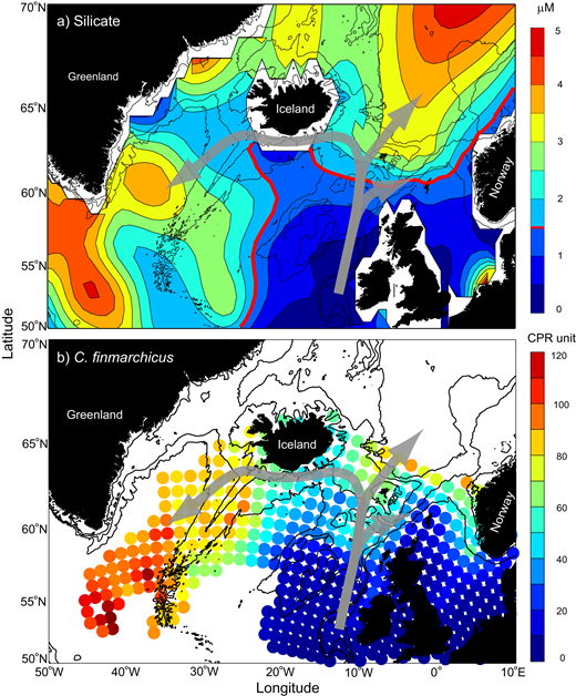 Figure 2. June silicate and C. finmarchicus climatology. / a) Shown are near-surface (50 m) silicate concentrations averaged over the period 1960–2013. The thick red contour line emphasizes the diatom-limiting level of 1.5 µM. b) C. finmarchicus abundances (stages V and VI) from the near-surface continuous plankton recorder (CPR) survey are shown for the period 1958–2005. The general mackerel feeding migration is illustrated with grey arrows.