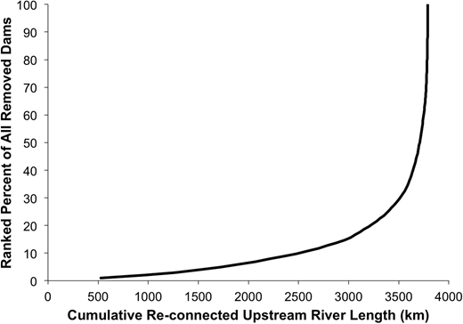 Figure 7. Liberated river kilometers. / Cumulative length (km) made available by dam removal in New England.
