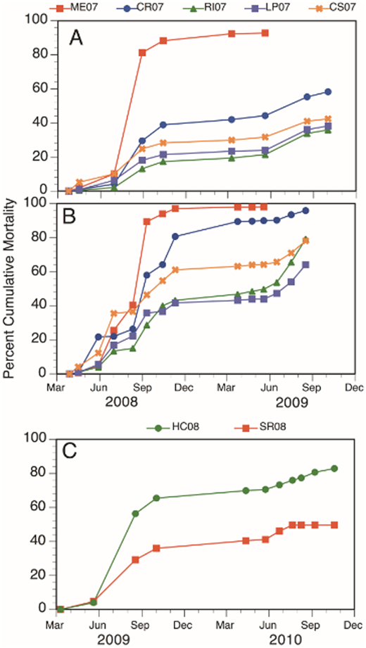 Figure 6. Mortality patterns. / Cumulative mortality of oyster stocks deployed at Cape May and Cape Shore sites during 18-month periods at Cape May (A and C) and Cape Shore (B). Each point is the mean of two replicate bags. Error bars are omitted for the sake of visual clarity, but differences were rarely greater than 5 percentage points.