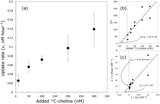 Figure 3. Uptake kinetics of 14C-choline by natural microbial communities in sea-ice brine. / 14C-choline uptake data from an experiment with sea-ice brine collected from Kobbefjord, Greenland, indicating Michaelis-Menten saturation kinetics (a) and linearity when transformed for a Wright-Hobbie plot (b), as in Kiene et al. (1998). The x-intercept in (b) gives a value of 97.4 nM for Kt + Sn, as an upper bound for natural substrate concentration (Sn). A double reciprocal Lineweaver-Burk plot of the data (c) gives a value of 41.7 nM for Kt (inverse of x-intercept) and 9.01 nM hour−1 for Vmax (inverse of y-intercept). See text for more details.