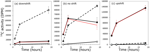 Figure 7. Use of 14C-choline by Colwellia psychrerythraea 34H following a salinity shift. / Time-course data on the use of 14C-choline by Colwellia psychrerythraea 34H following a downshift (a), no shift (b), or upshift (c) in salinity at –1°C. Grey circles (dashed lines) represent respiration, measured as 14CO2 released upon acidification of the sample. Filled circles (solid black line) represent total amount retained intracellularly, measured as filterable material collected pre-acidification. Open circles (solid black line) represent amount incorporated into macromolecules, measured as filterable material collected post-acidification. The red line represents osmolyte retention, calculated by subtracting amount incorporated into macromolecules from total amount retained intracellularly. Error bars indicate S.D. of the mean (n = 4, except for time zero, where n = 2); where no bar is visible, it falls within the dimensions of the symbol for the mean.
